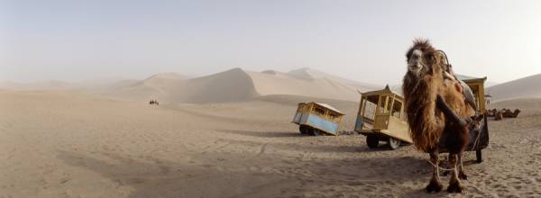 Photograph Eric Prine Camel Cart In The Gobi on One Eyeland
